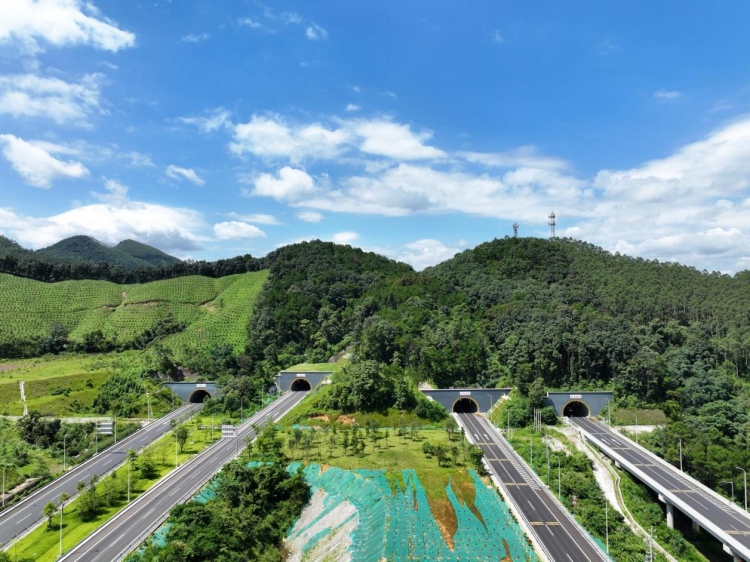 20250917138489.jpg 桂柳4標.jpg